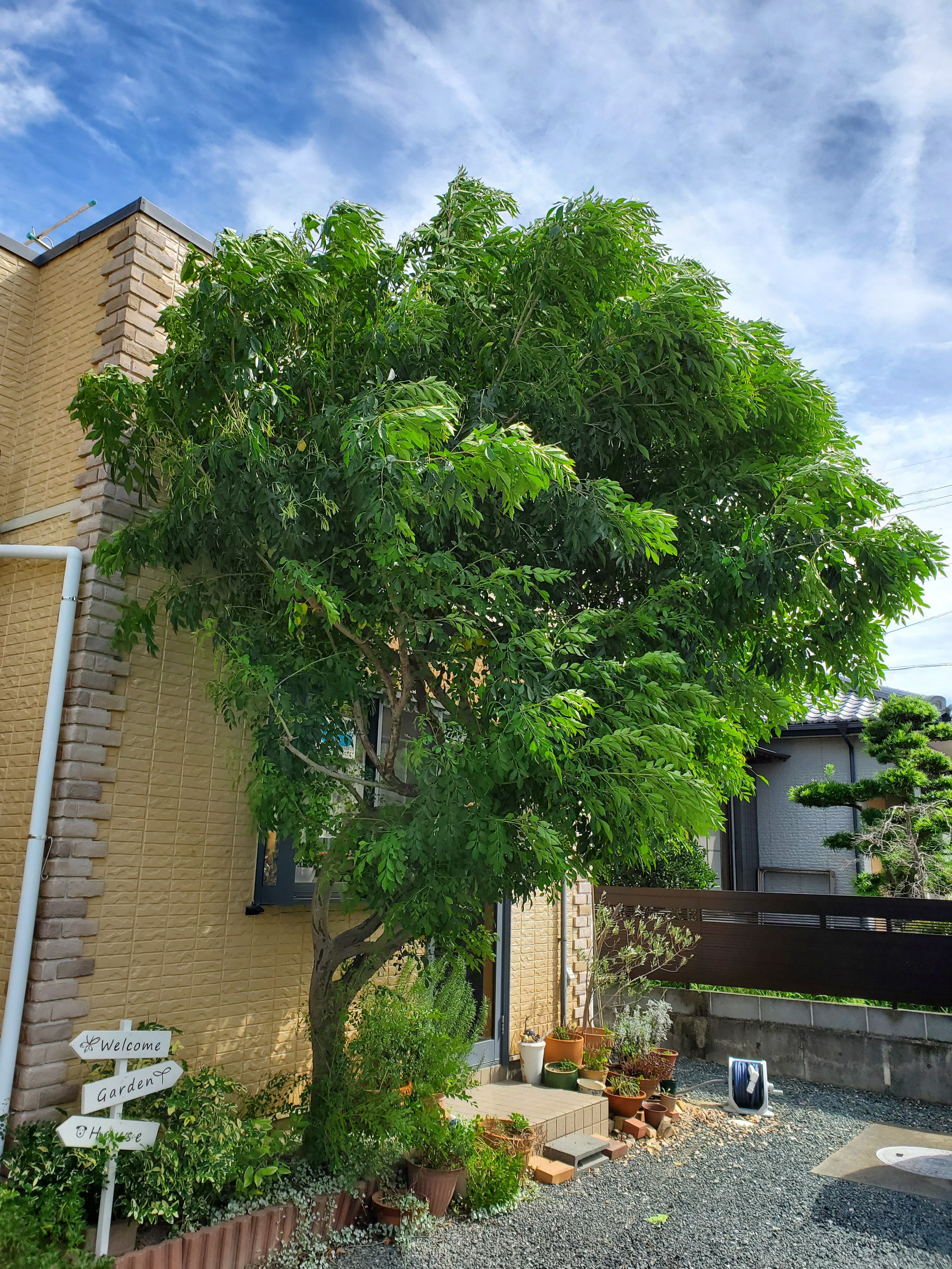 ブログ 浜松市で庭工事 外構 庭手入れなら庭創造 にわそうぞう